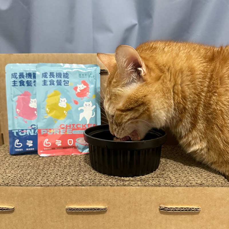 試用